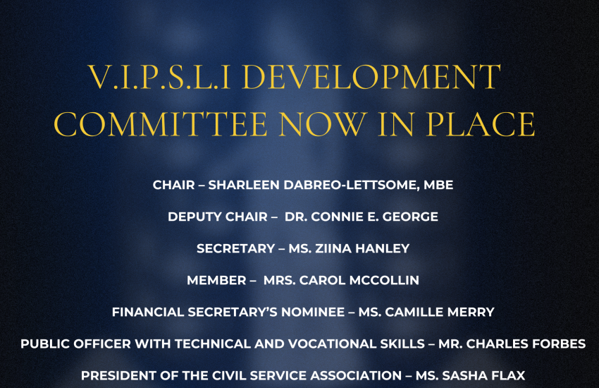 VIPSLI Development Committee Now in Place