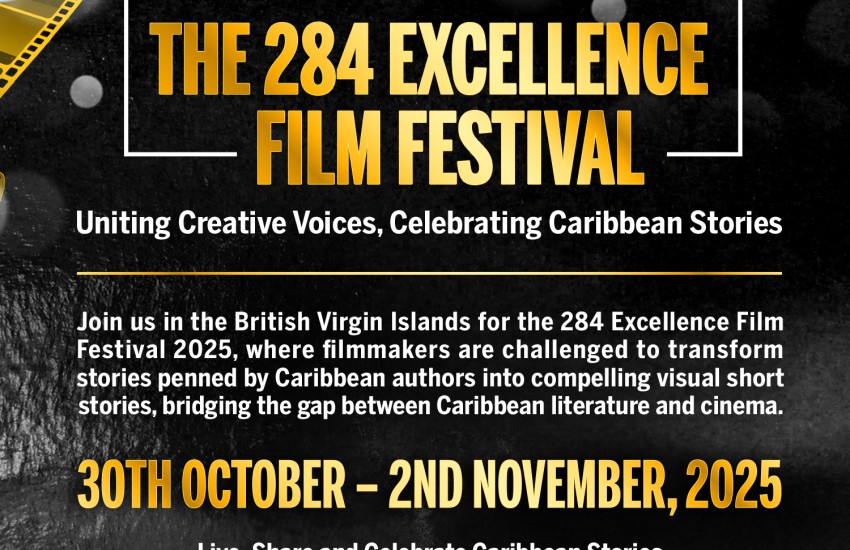 excellence film festival
