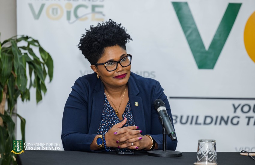 CEO Orlandette Crabbe- VI Voice ep 9