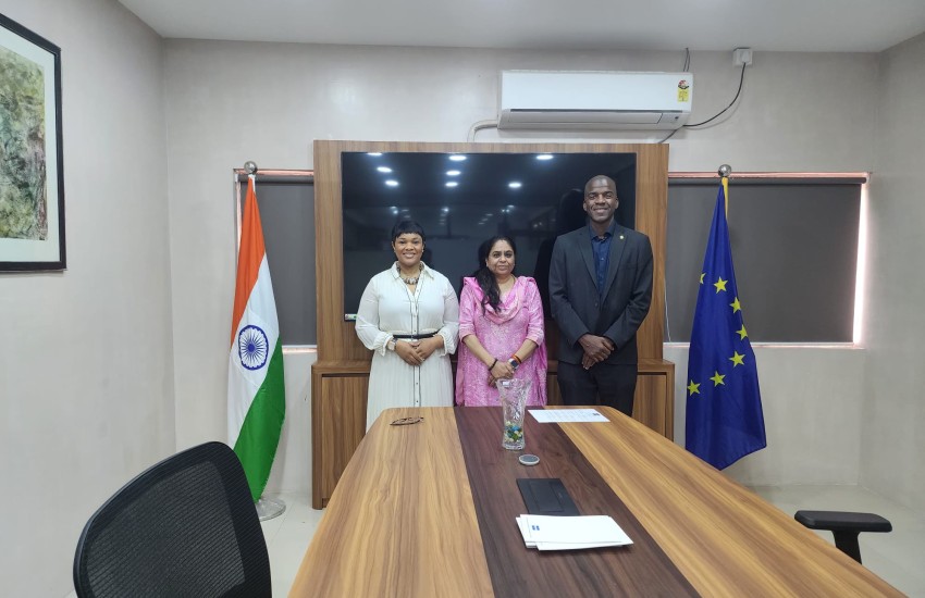 india-euchamberofcommerce2-chairperson