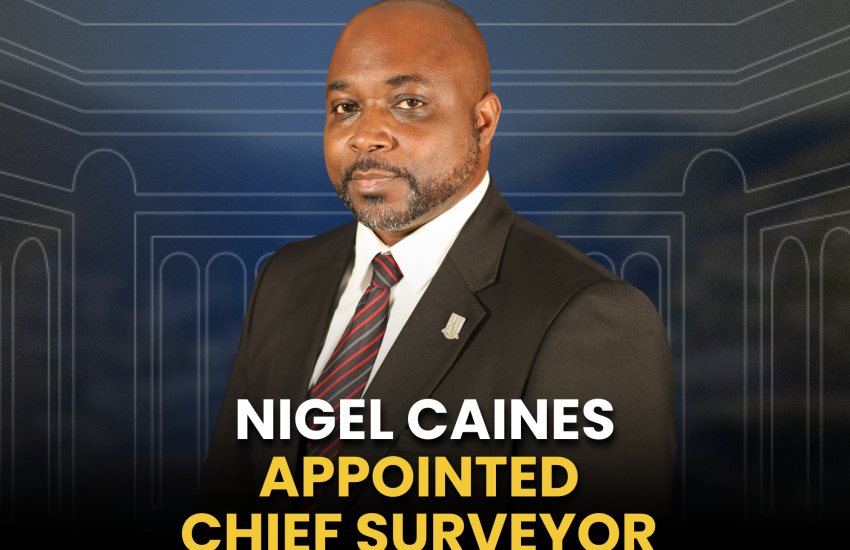 Nigel Caines APPOINTED CHIEF SURVEYOR 