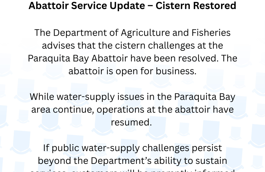 Abattoir Service Update – Cistern Restored