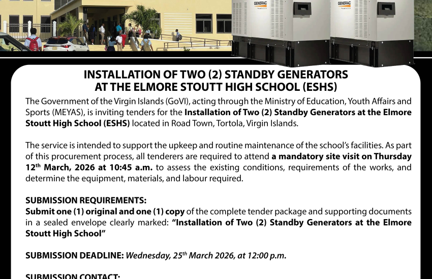 Installation of Two (2) Standby Generators at the Elmore Stoutt High School (ESHS)