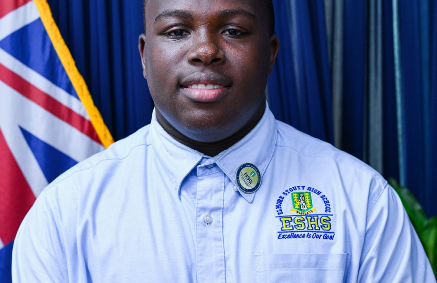 Rudell Stoute-Vice President