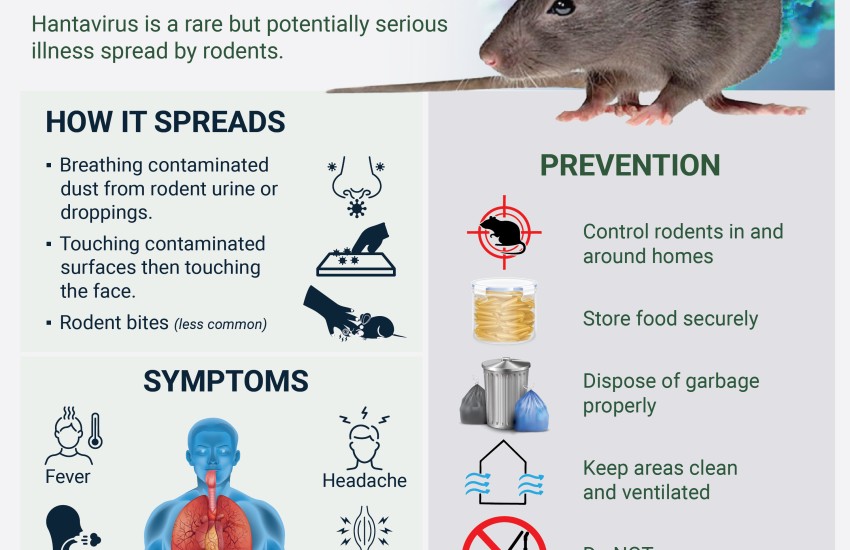 hantavirus information
