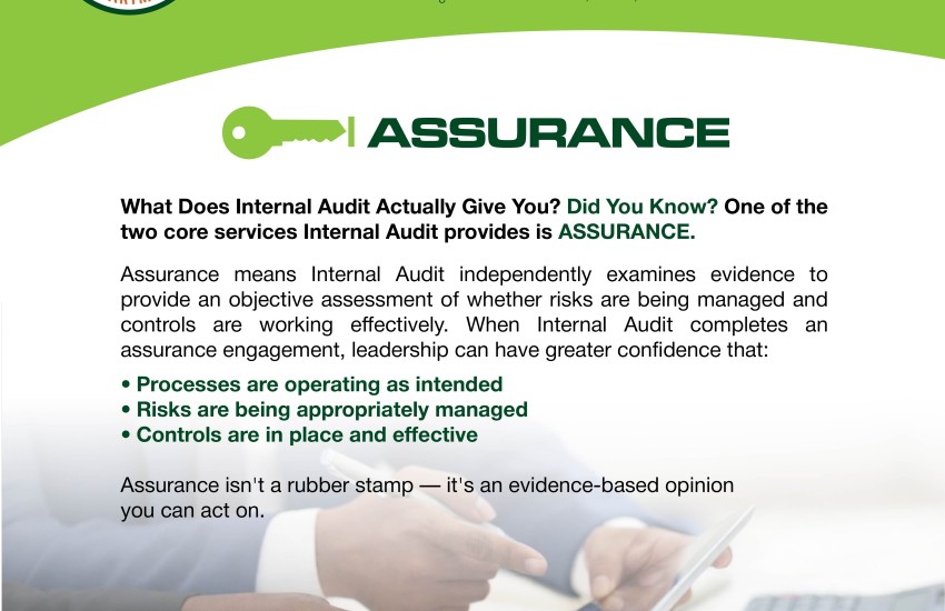 Internal Audit Did You Know Series Part Three