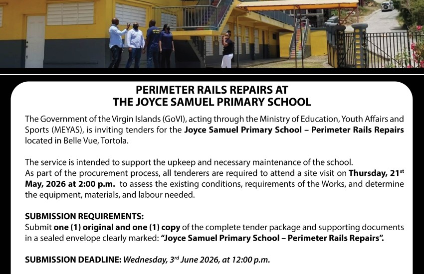Joyce Samuel Primary School Perimeter Rails Repairs