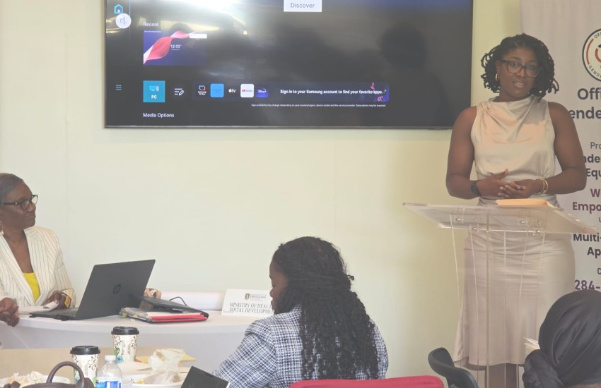 Gender Affairs Workshop 3