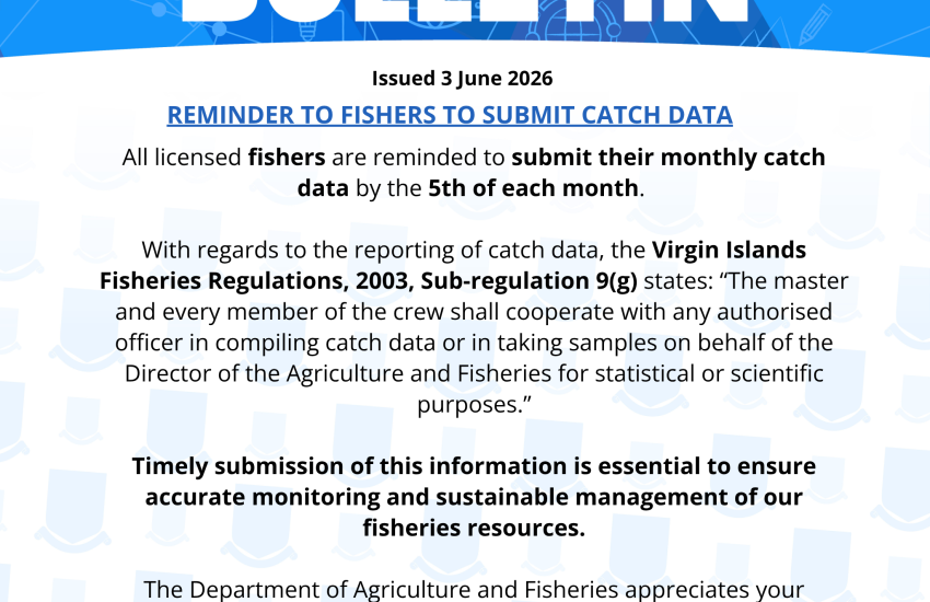 Fishers Reminded to Submit Catch Data