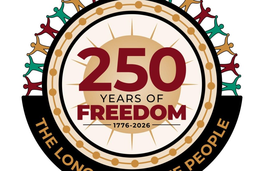 Long Look Logo