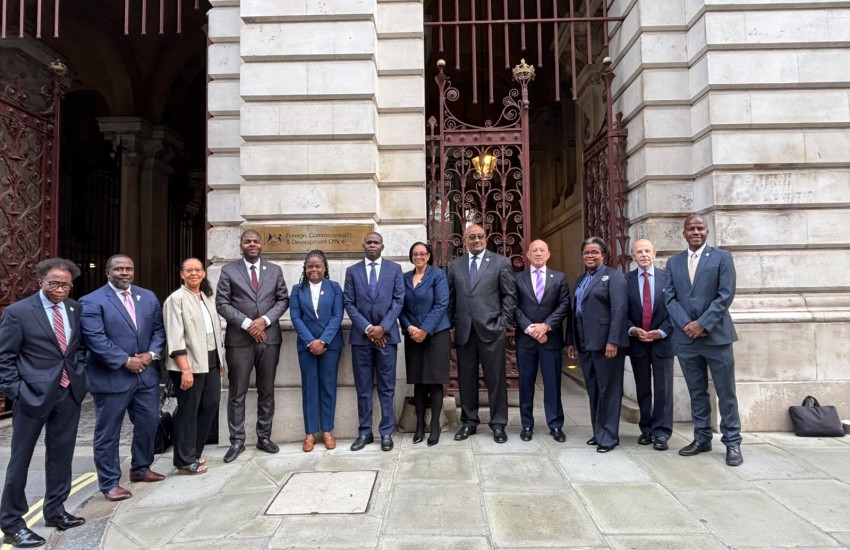 VI Constitutional Delegation in the UK