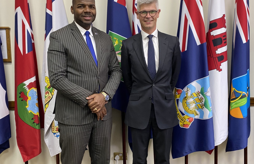 BVI All Party Group