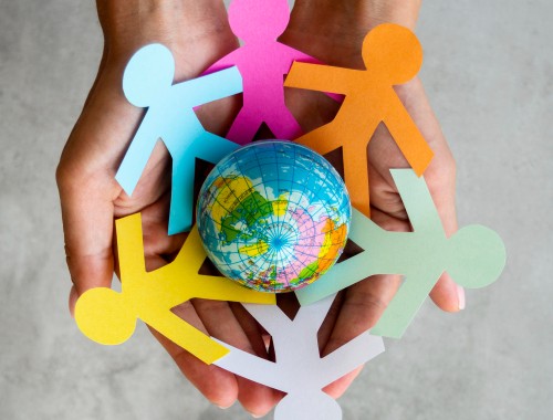 National Council for Human  and Social Development