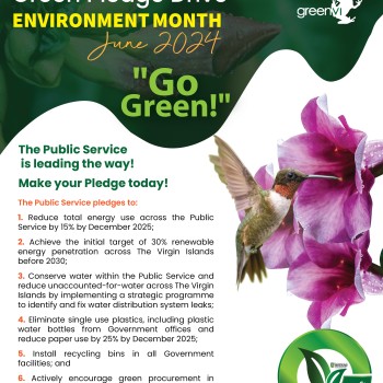 Public Service Pledge