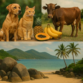 Animals, Food, Environment
