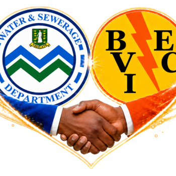 Temporary_viewco_logo