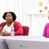 Stakeholders Discuss Advancement in Early Childhood Education 3