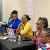 Digital OECS Harmonised Primary Curriculum Training Session 2