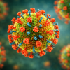 Influenza Virus