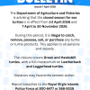 Bulletin - Closed Season for Turtles