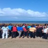 Sargassum visit