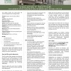 bvi_london_office_research_and_international_affairs_officer_13_nov_2026_ad.jpg