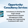 Display stating a consultant is sought to create the CDM 2027-2031 strategy