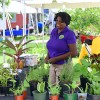 World Food Day activities