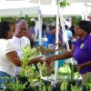 More World Food Day 2026