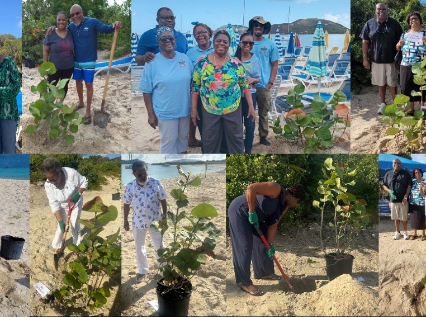 Replant 100 Seagrape Trees At Long Bay 2