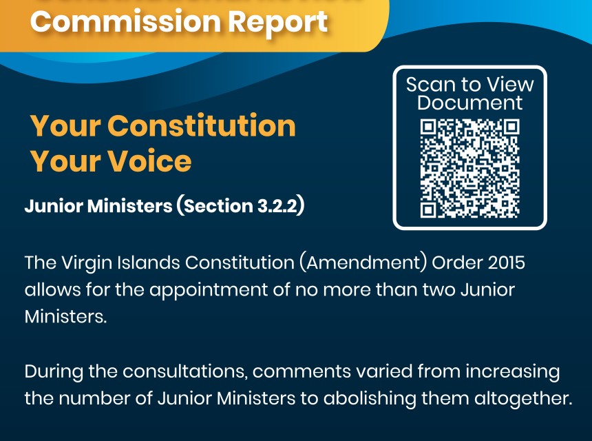 Debate on Constitutional Review Report