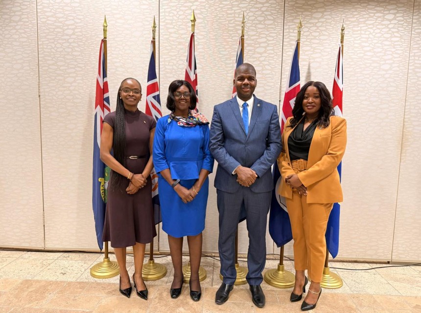 VI Delegation UK Caribbean OTs Caucus