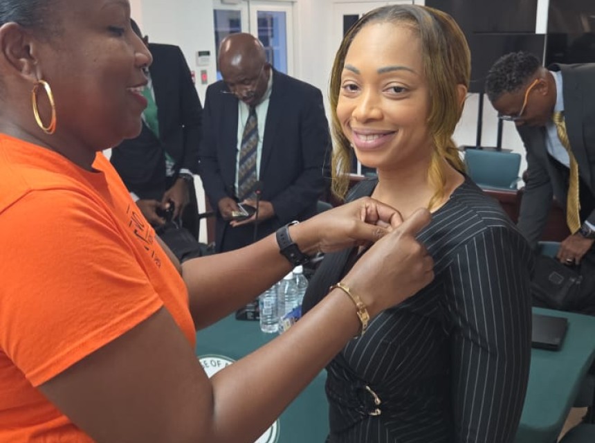 Speaker pinned by Zonta