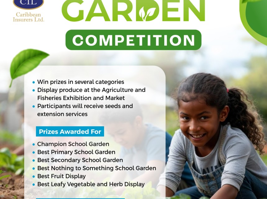 f_school_garden_competition_2
