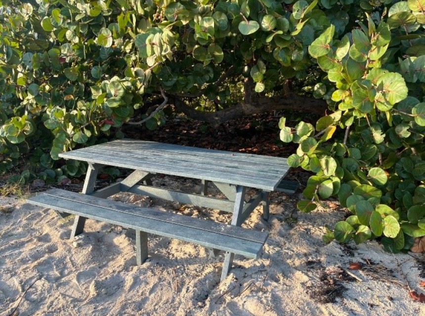 Long Bay, Beef Island Beach Picnic Area Ready to be Used