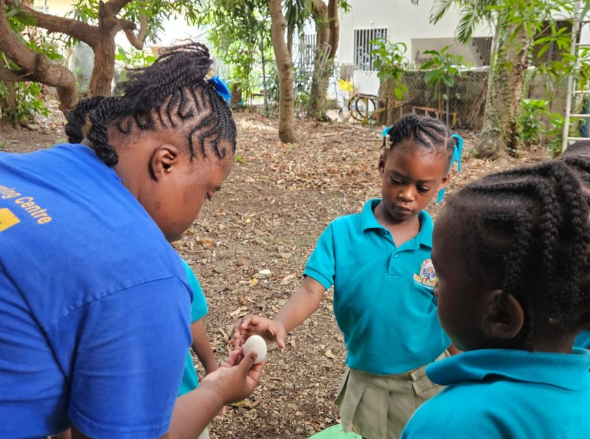 Raneah Solomon Work Program 2