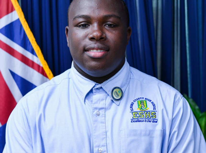 Rudell Stoute-Vice President